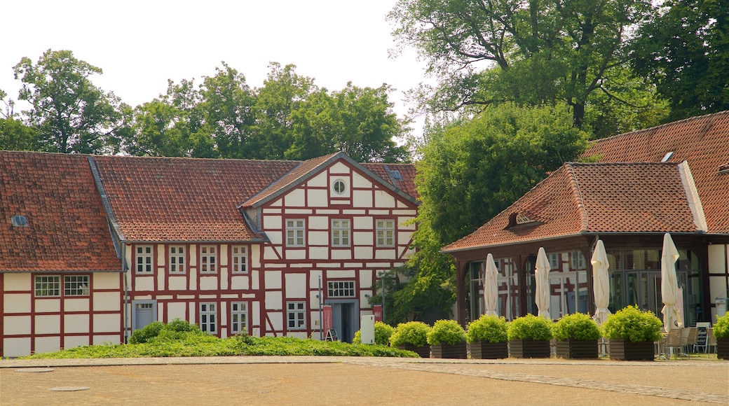 Schloss Wolfsburg showing heritage elements