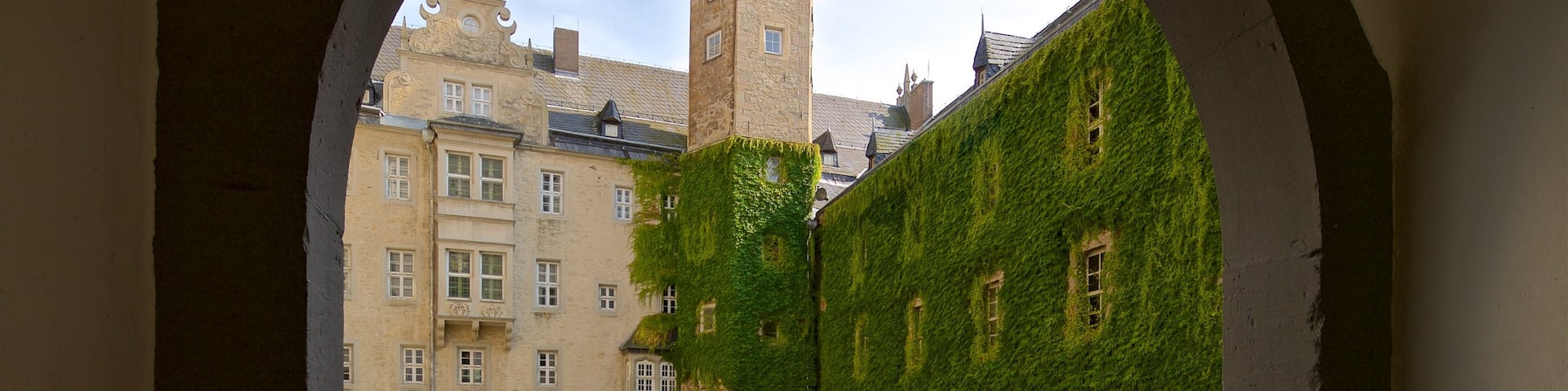 Schloss Wolfsburg featuring heritage architecture