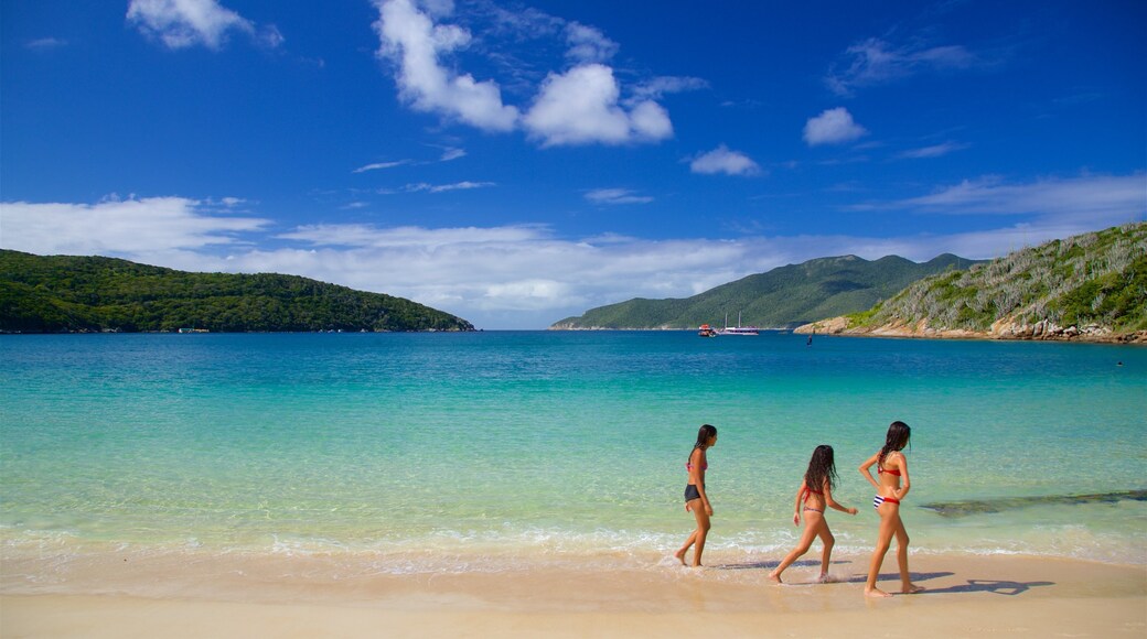 Spiaggia di Forno che include vista della costa, spiaggia e nuoto