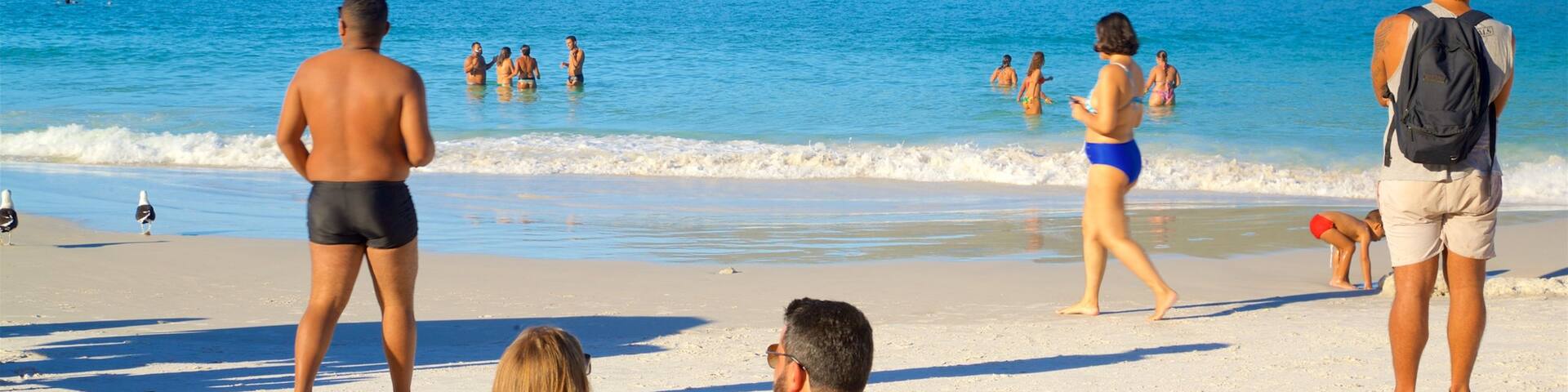 Pontal do Atalaia Beach featuring general coastal views and a sandy beach as well as a couple