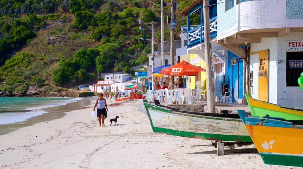 Prainha strand som visar kustutsikter, gulliga djur och en kuststad