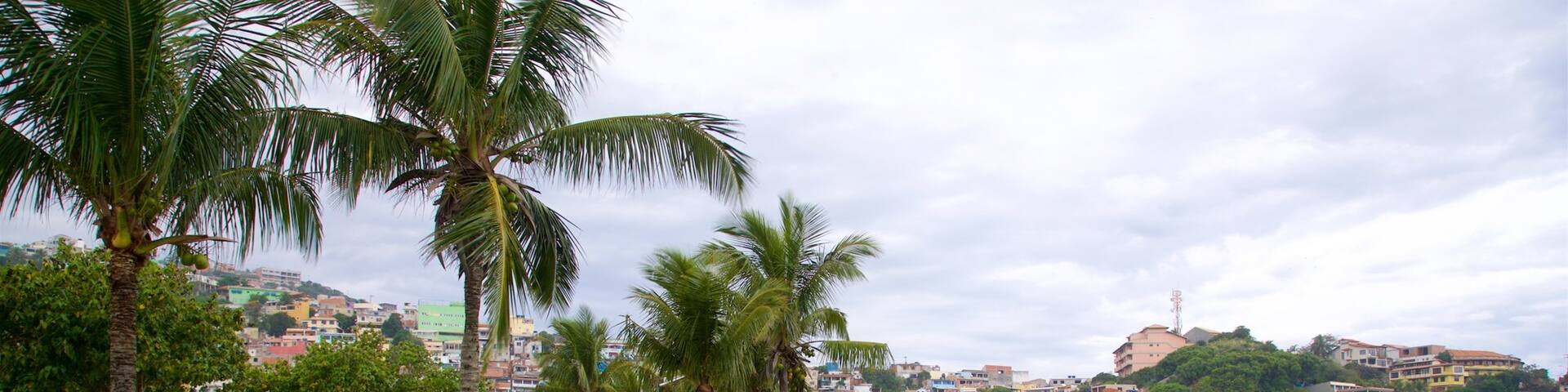 Hermes Barcellos Public Park featuring a coastal town and a lake or waterhole