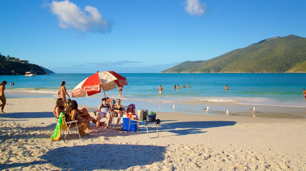 Praia do Pontal do Atalaia mostrando natação, uma praia e paisagens litorâneas