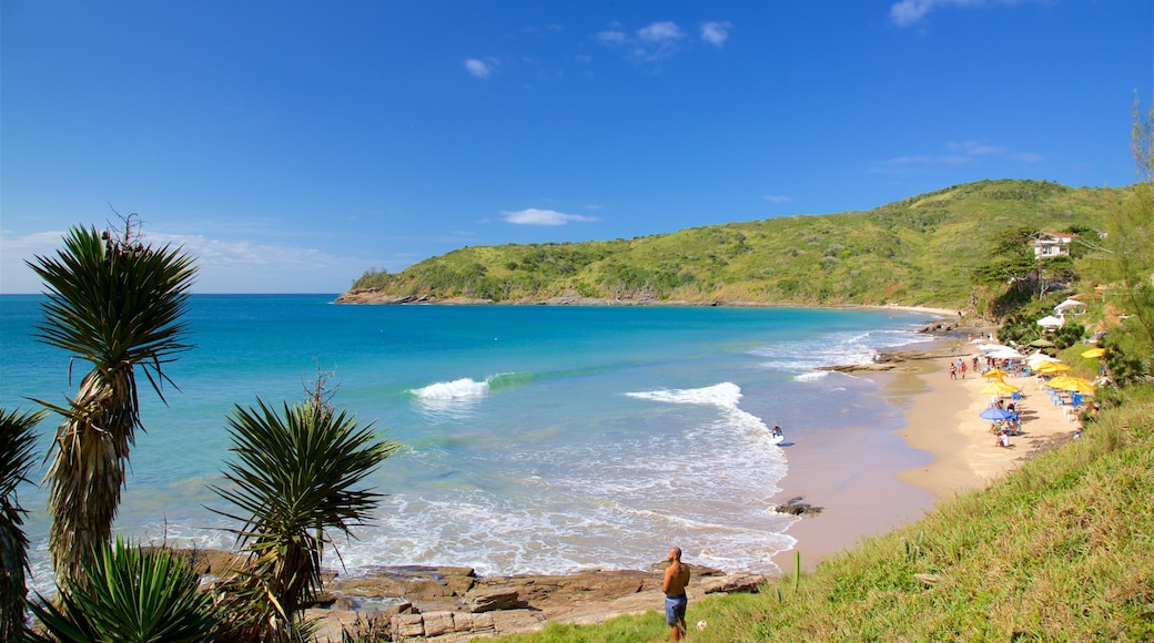 Brava Beach showing general coastal views and a beach