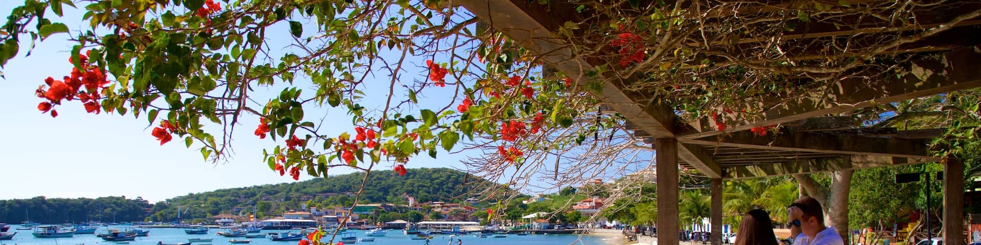 Armacao Beach featuring a bay or harbor and general coastal views as well as a couple