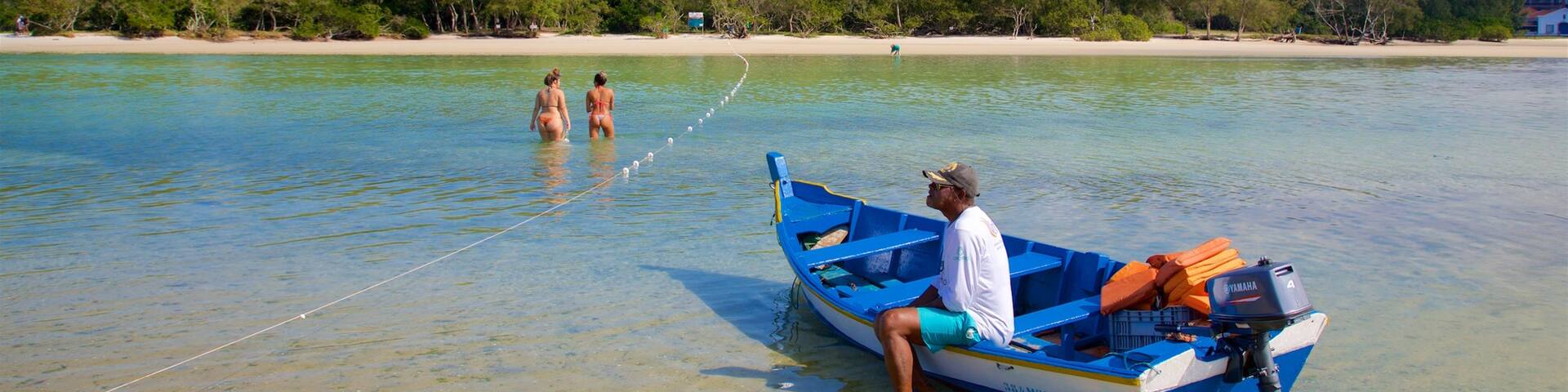 Japanese Island featuring general coastal views, boating and swimming
