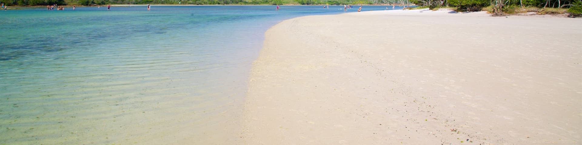 Japanese Island showing a sandy beach and general coastal views