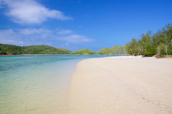 Japanese Island das einen Strand und allgemeine Küstenansicht
