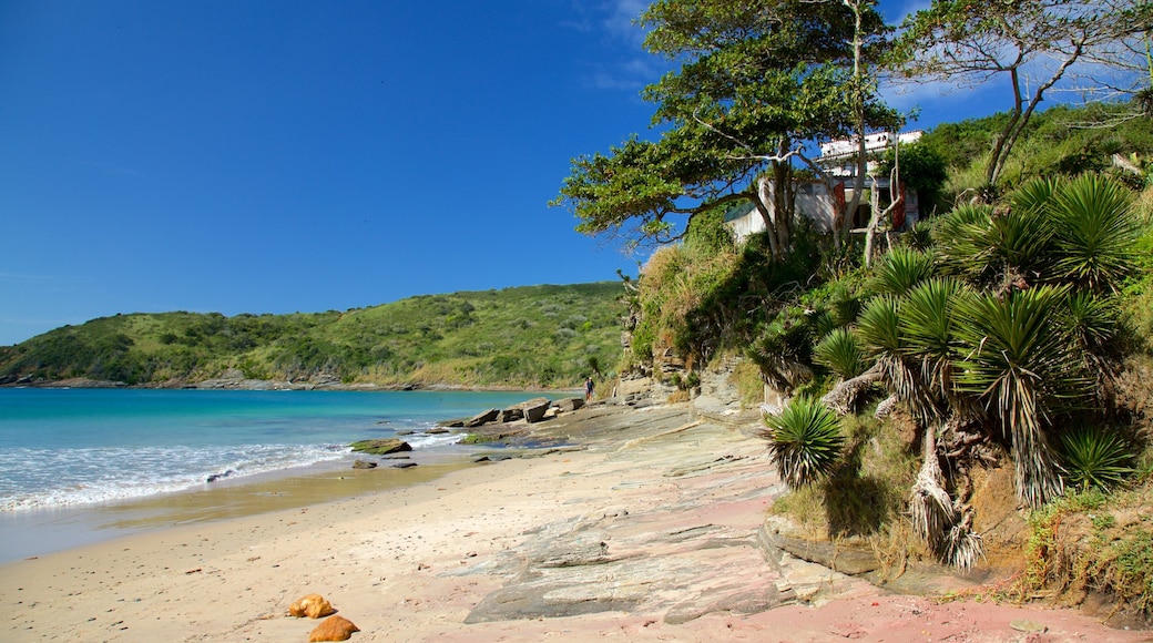 Playa Brava ofreciendo vistas generales de la costa y una playa de arena