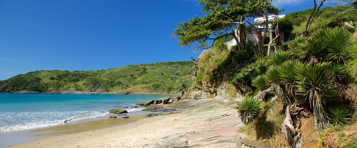 Praia Brava caracterizando paisagens litorâneas e uma praia de areia