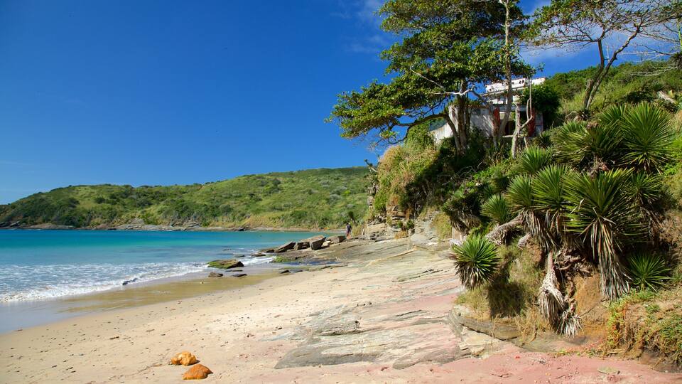 Brava Beach featuring a sandy beach and general coastal views