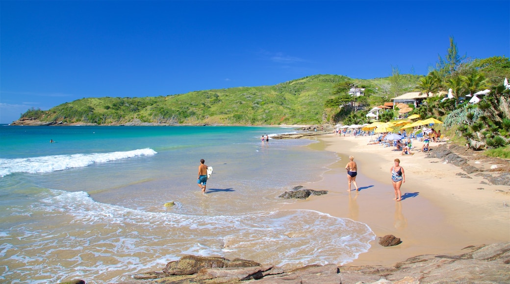 Praia Brava mostrando uma praia de areia e paisagens litorâneas assim como um pequeno grupo de pessoas