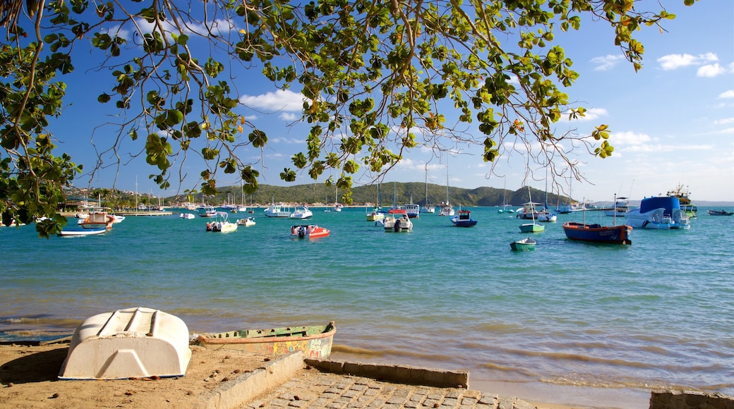 Playa Bones que incluye una bahía o puerto