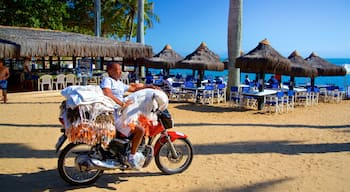 Praia João Fernandes welches beinhaltet allgemeine Küstenansicht, tropische Szenerien und Sandstrand