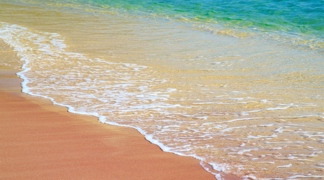 Praia João Fernandes bevat een strand en algemene kustgezichten