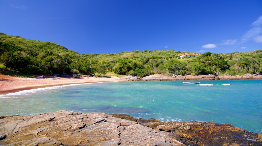 Spiaggia di Forno che include costa frastagliata, spiaggia sabbiosa e vista della costa
