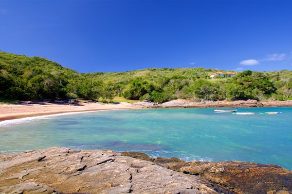 Forno qui includes vues littorales, côte rocheuse et plage