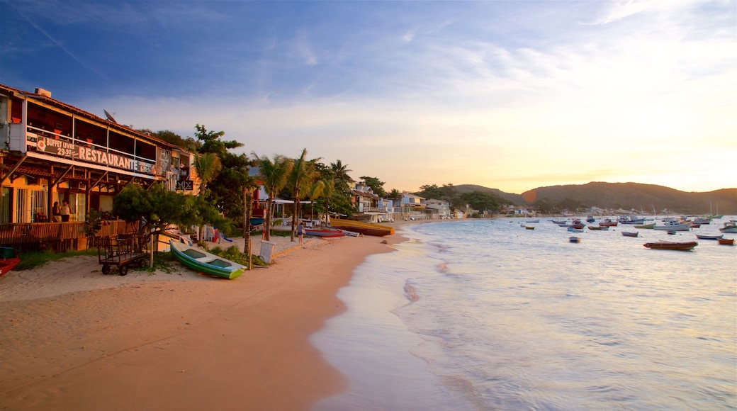 Orla Bardot showing a sandy beach, general coastal views and tropical scenes