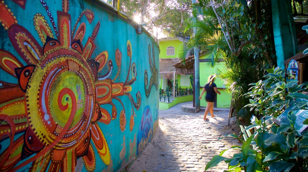 Playa Ferradurinha mostrando arte al aire libre