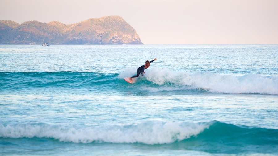 Forte Beach featuring surf, surfing and general coastal views