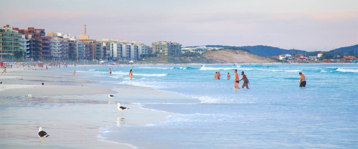 Praia das Dunas mostrando vida das aves, uma cidade e uma cidade litorânea