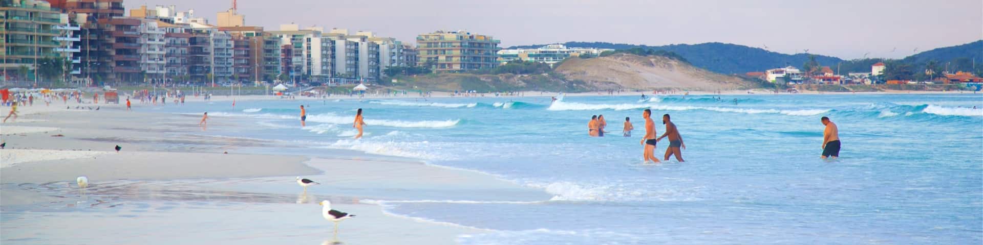 Strand von Dunas mit einem Vögel, KĂŒstenort und Strand