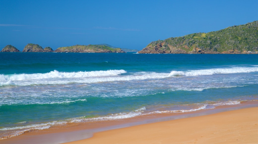 Playa Tucuns que incluye vista general a la costa y una playa de arena