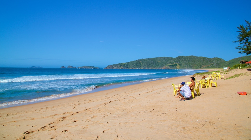 Tucuns montrant plage de sable et vues littorales aussi bien que petit groupe de personnes