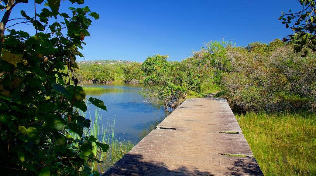 Lago Ferradura que incluye humedales