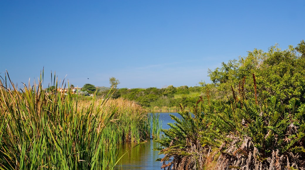 Ferradura Lagoon which includes wetlands