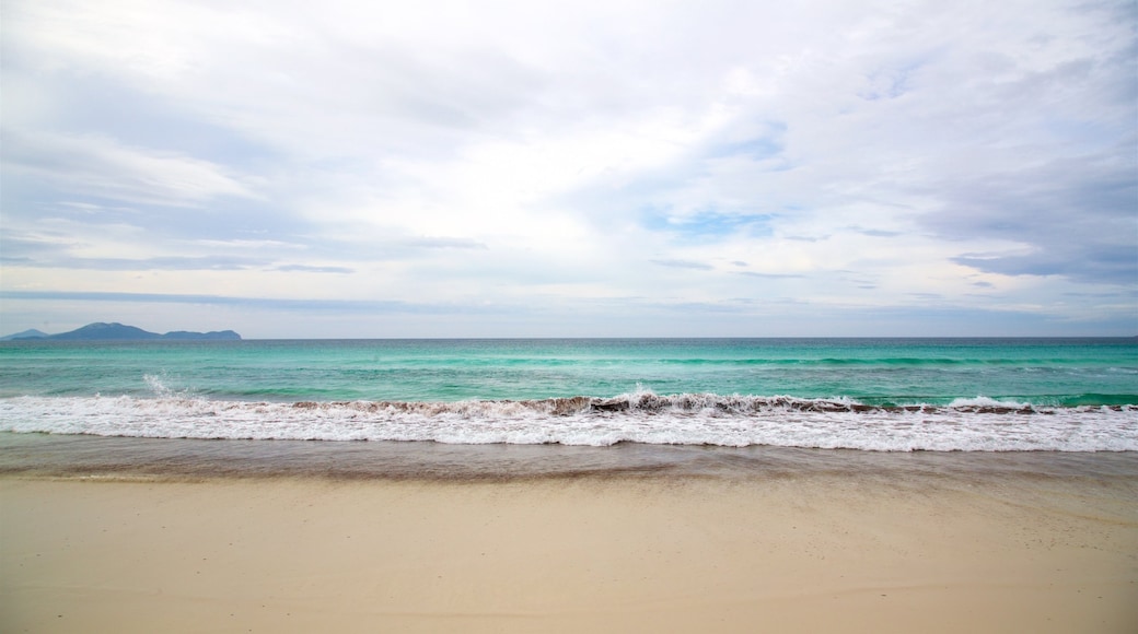 Praia do Foguete que inclui uma praia e paisagens litorâneas