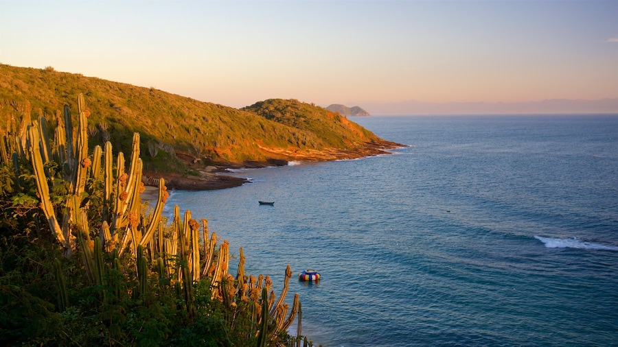 Joao Fernandes Viewpoint