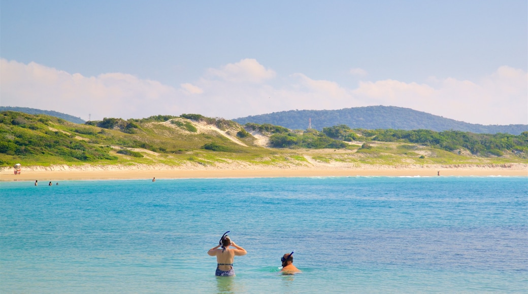 Strand van Conchas bevat algemene kustgezichten en snorkelen en ook een stel