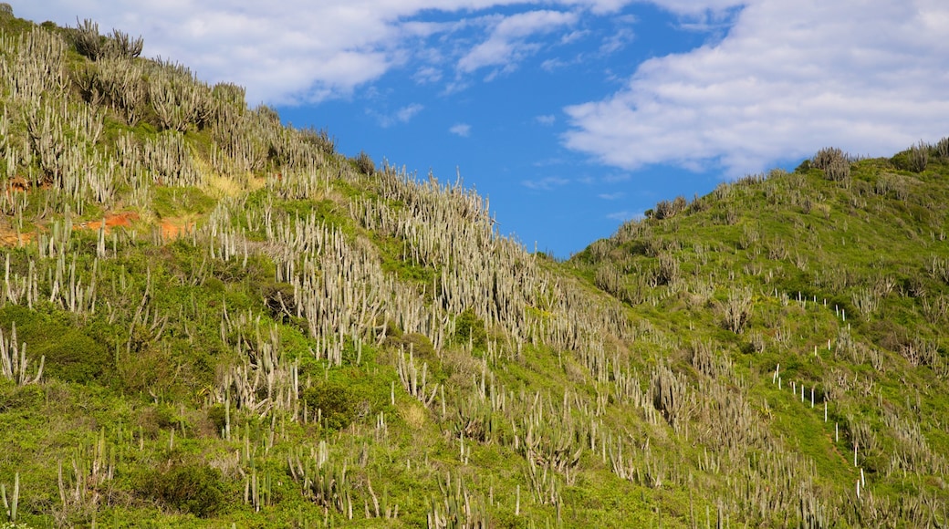 Reserve Serra das Emerencias