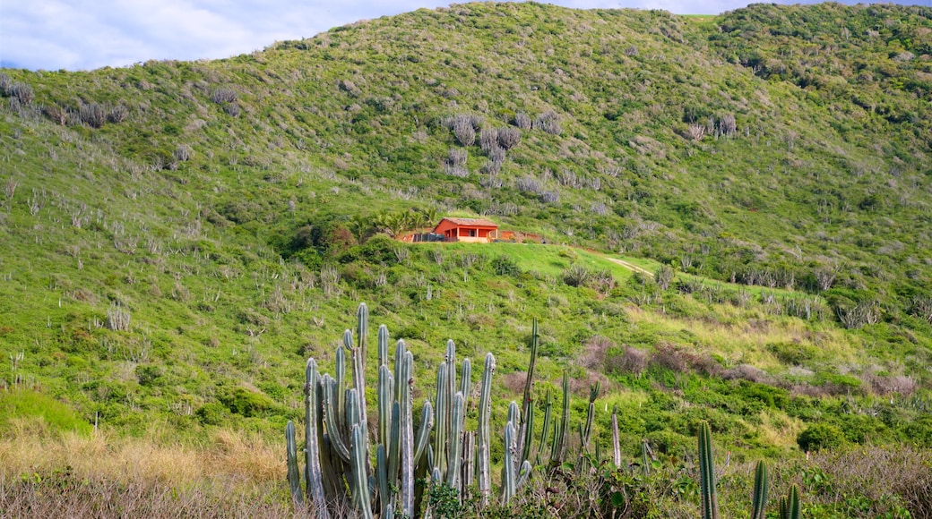 Reserva Serra das Emerências ofreciendo escenas tranquilas