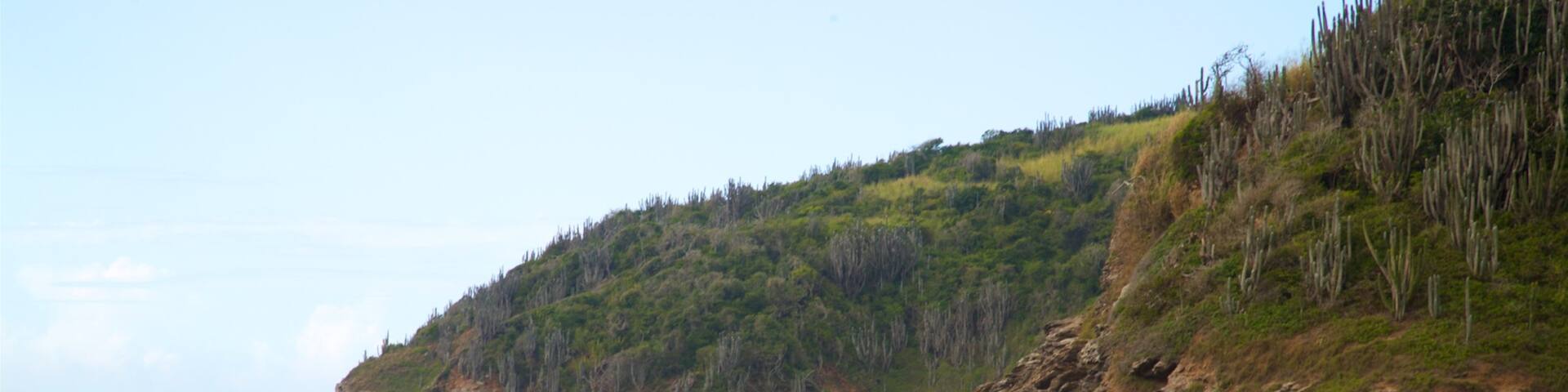 Reserve Serra das Emerencias which includes general coastal views, a sandy beach and rugged coastline