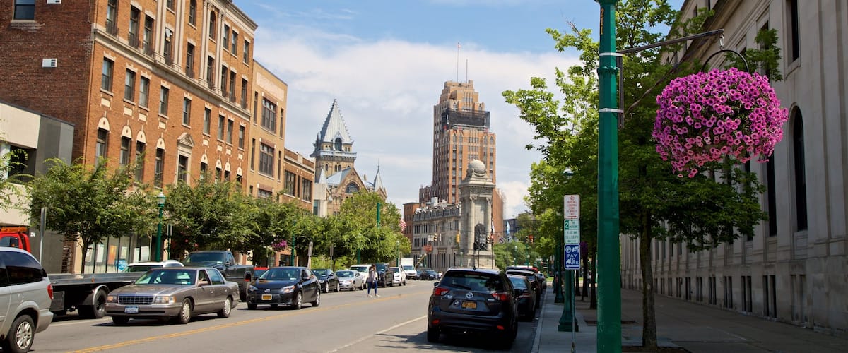 Syracuse featuring flowers and a city