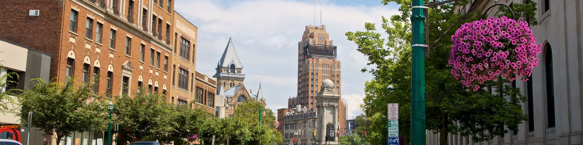 Syracuse which includes a city and flowers