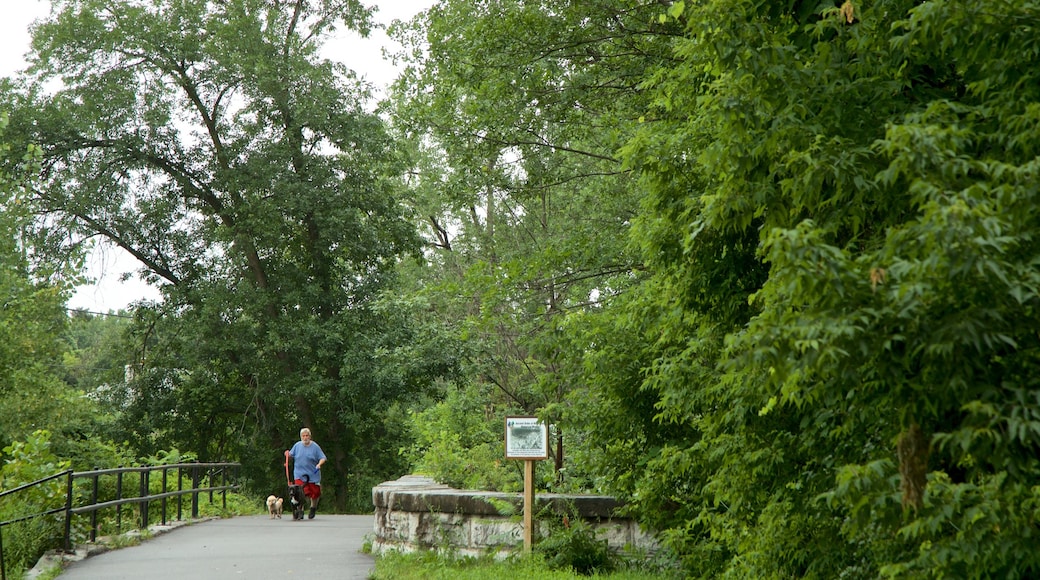 Old Erie Canal Historic State Park featuring hiking or walking, a garden and cuddly or friendly animals