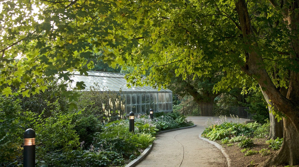 Highland Park showing a garden