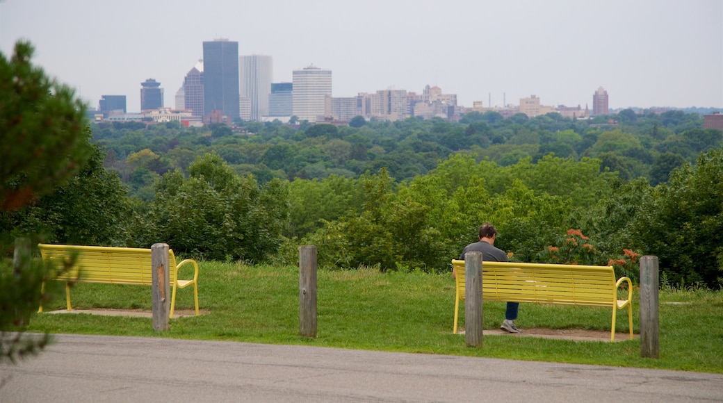Cobbs Hill Park som visar en park, landskap och en stad