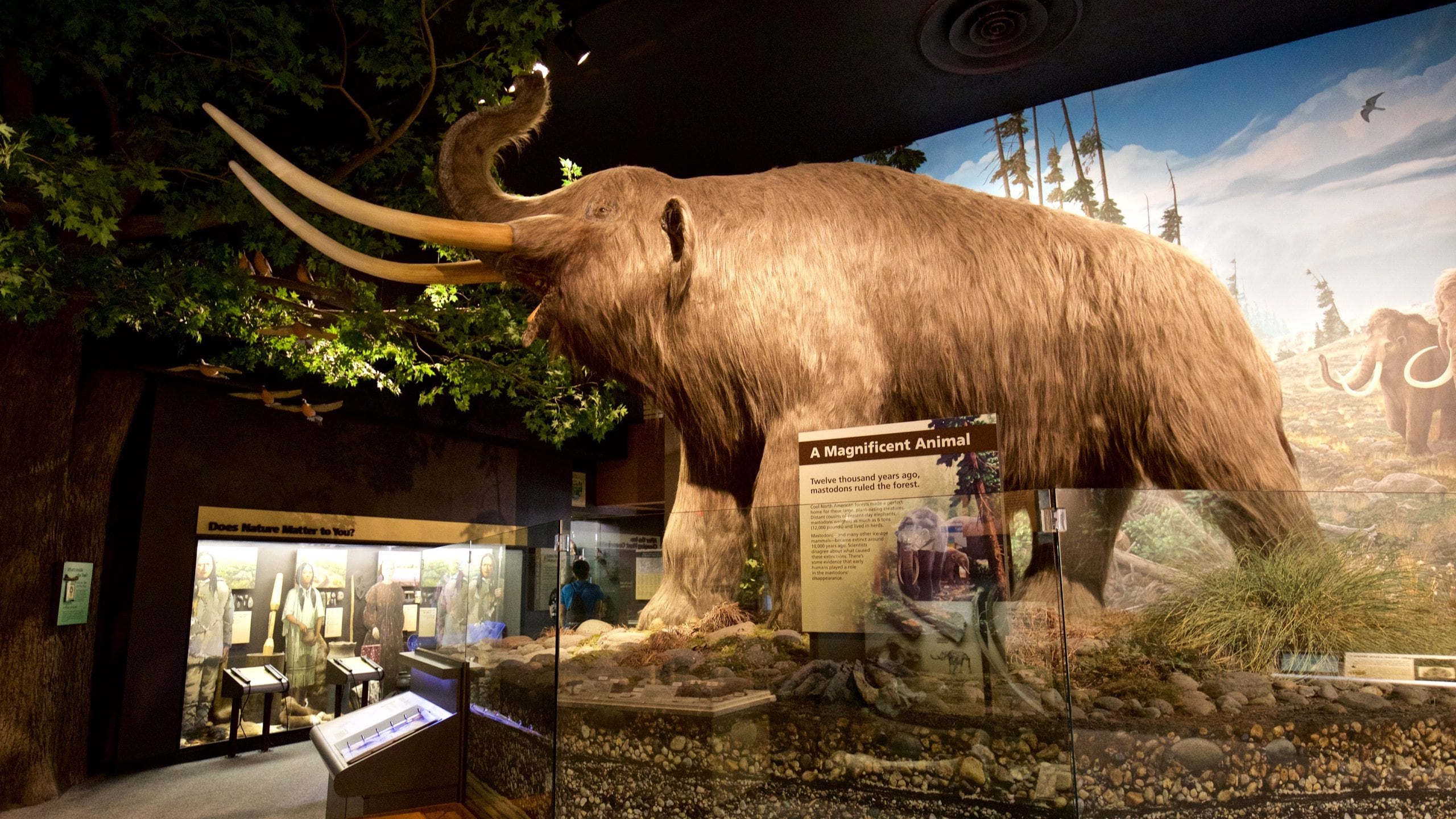 Rochester Museum and Science Center Tours Book Now Expedia