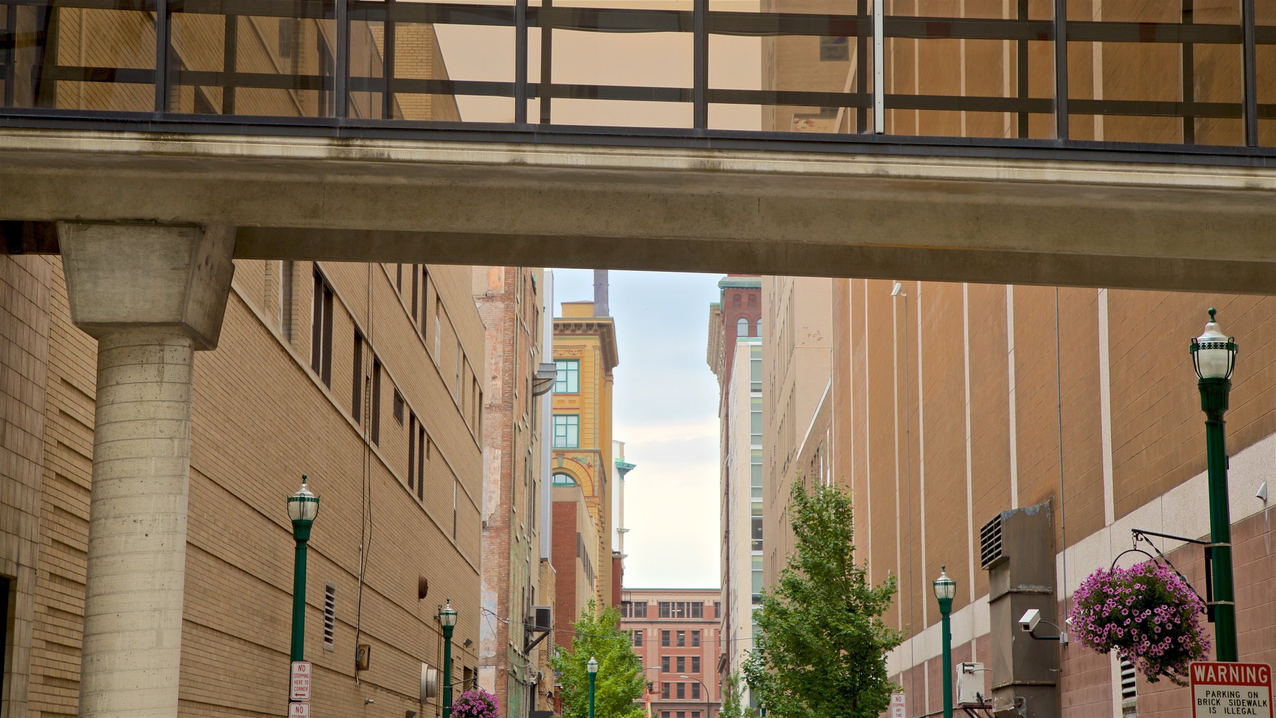 Syracuse showing a city