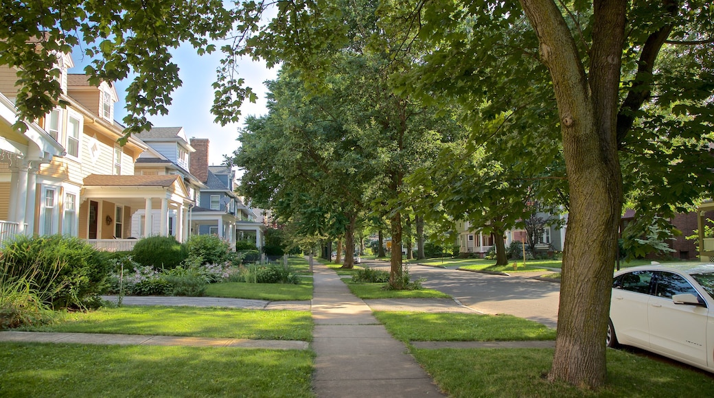 Rochester showing a house