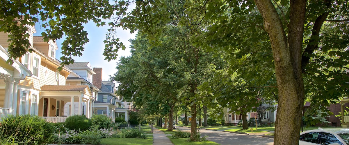 Rochester showing a house