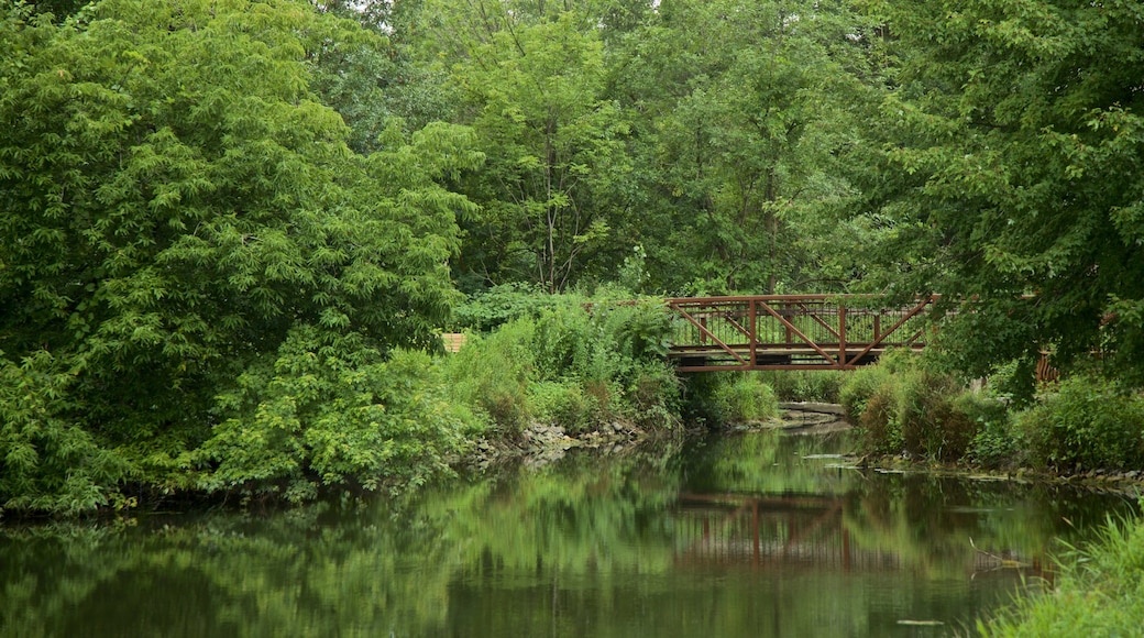 Old Erie Canal Historic State Park featuring a bridge and a river or creek