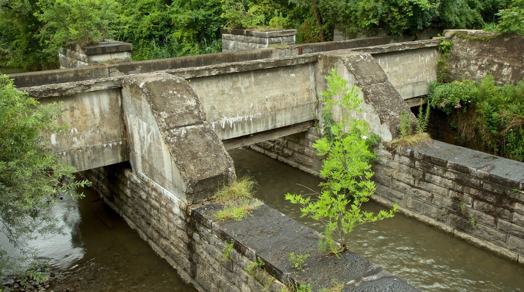 Parque estatal histórico de Old Erie Canal mostrando un río o arroyo y un puente