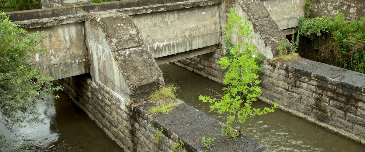 อุทยานแห่งรัฐคลองโบราณ Old Erie Canal แสดง แม่น้ำหรือลำธาร และ สะพาน