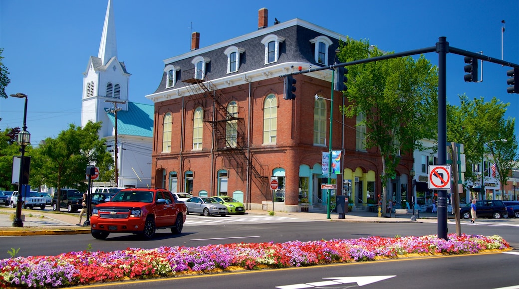 Brunswick featuring a church or cathedral and flowers