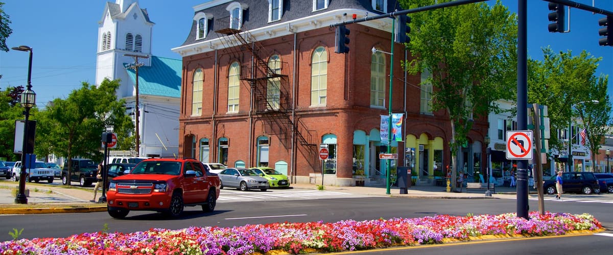 Brunswick mit einem Blumen und Kirche oder Kathedrale